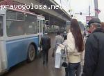 Качество общественного транспорта в Москве