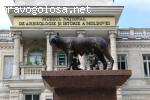Рекомендую всем посетить Национальный Музей Истории Молдовы