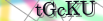 default Security Image