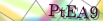 default Security Image