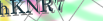 default Security Image