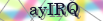 default Security Image