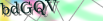 default Security Image
