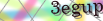 default Security Image