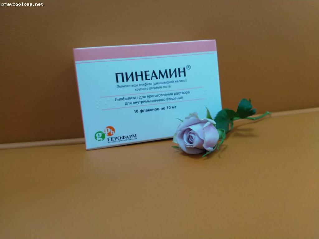 Отзыв на Пинеамин