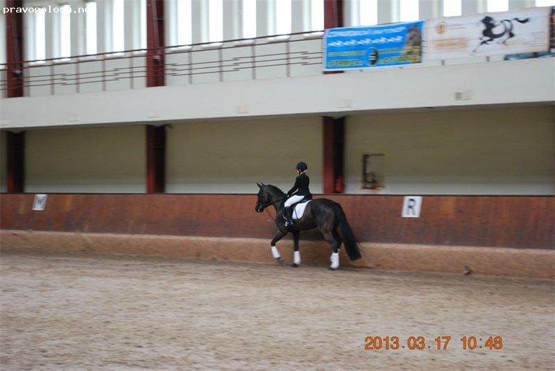 Отзыв на Конный клуб верховой езды "Магнат"