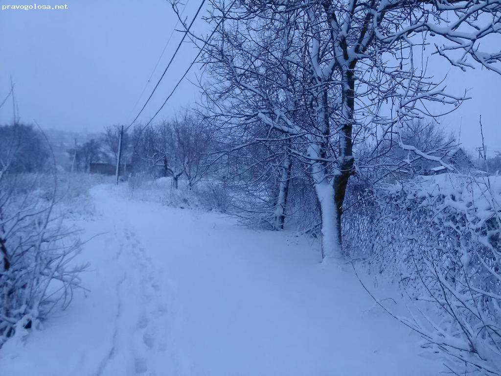 Отзыв на СТФорекс