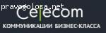 Компания будущего "Celecom"