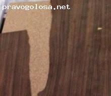 Отзыв на Фабрика Требити