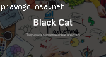 Black cat отзывы