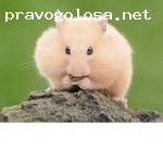 Отзыв на Endless Horizons