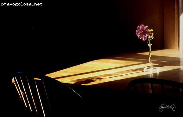 Отзыв на Евгений Лесников, психолог.