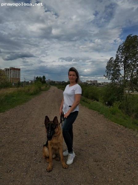 Отзыв на Школа дрессировки собак Akita Dog School