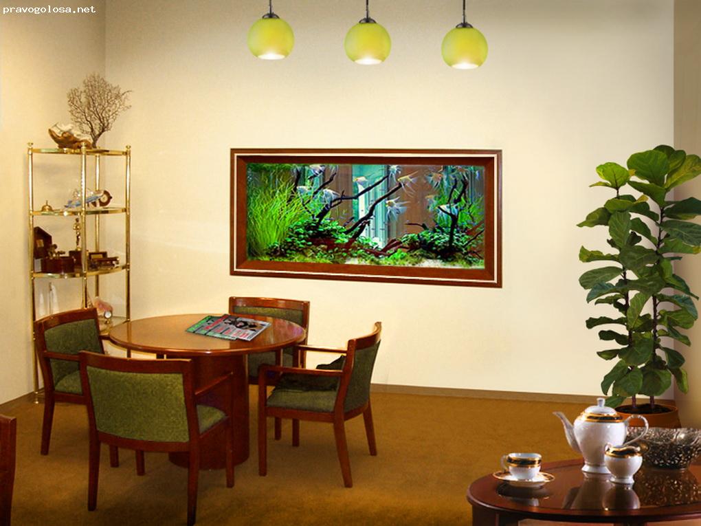 Отзыв на Проект "AQUAMIRACLE"