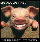 Отзыв на top-shini.ru