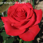 Promportal.su отзывы