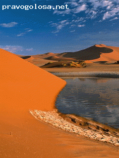 Отзыв на Фарта Стрендж Вологда