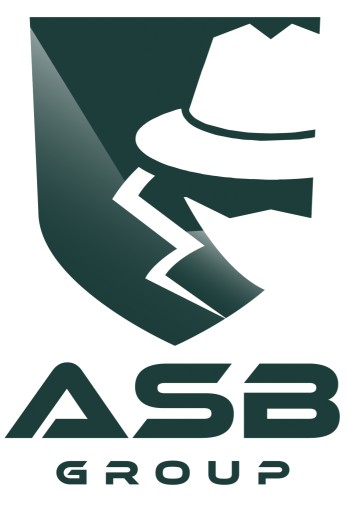 Справочная иркутск. ASB Group пиво. ASB Group. Иркутск лого. STN logo.