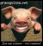 Отзыв на ecorotang24.ru