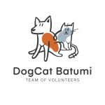 Dogcat batumi отзывы