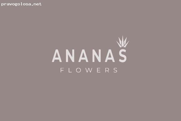 Отзыв на Ananas Flowers