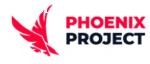 Phoenix Project отзывы