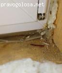 Отзыв на ИП Беков Джабраил Вахаевич