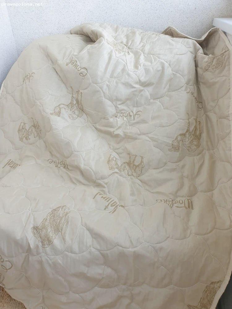 Отзыв на NeSaDen