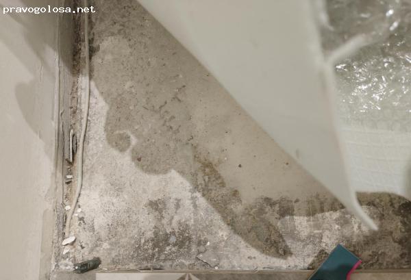 Отзыв на ООО Магас