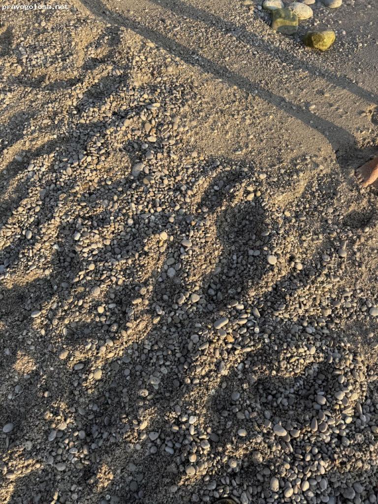 Отзыв на EU Immigration Service