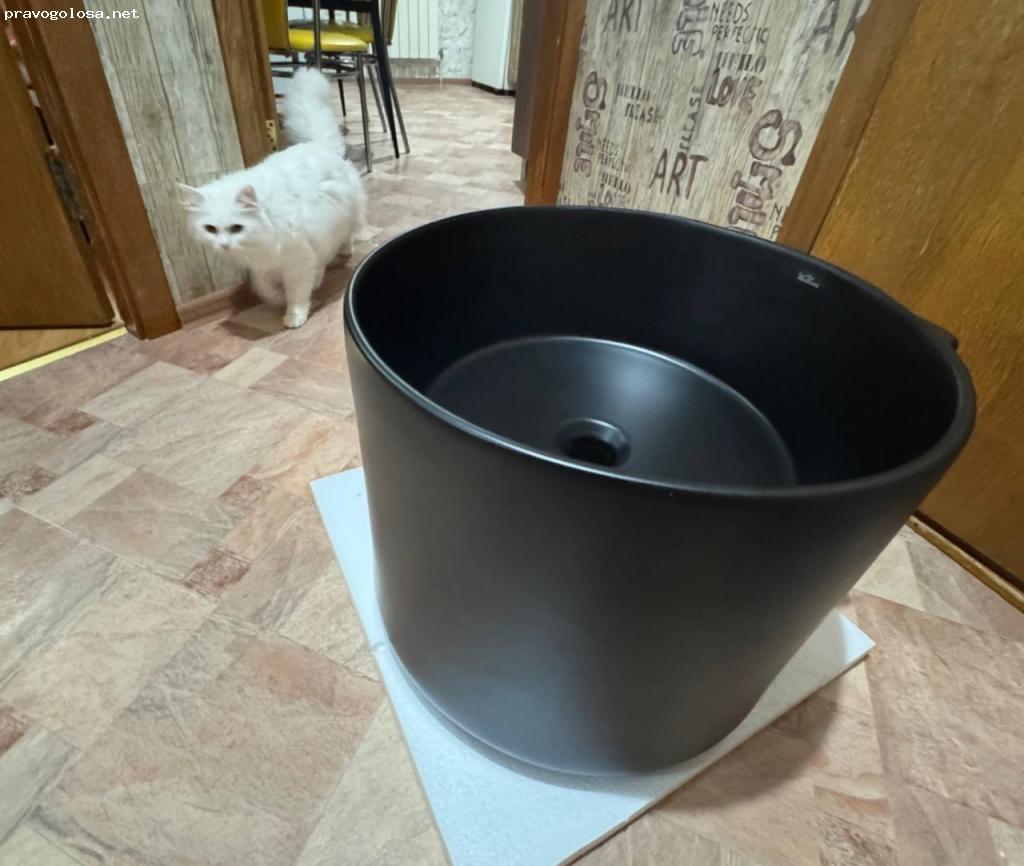 Отзыв на Черная подвесная раковина (круглая) Wellsee M1 Limited Edition 318805000