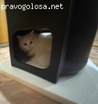 Отзыв на Черная подвесная раковина (круглая) Wellsee M1 Limited Edition 318805000