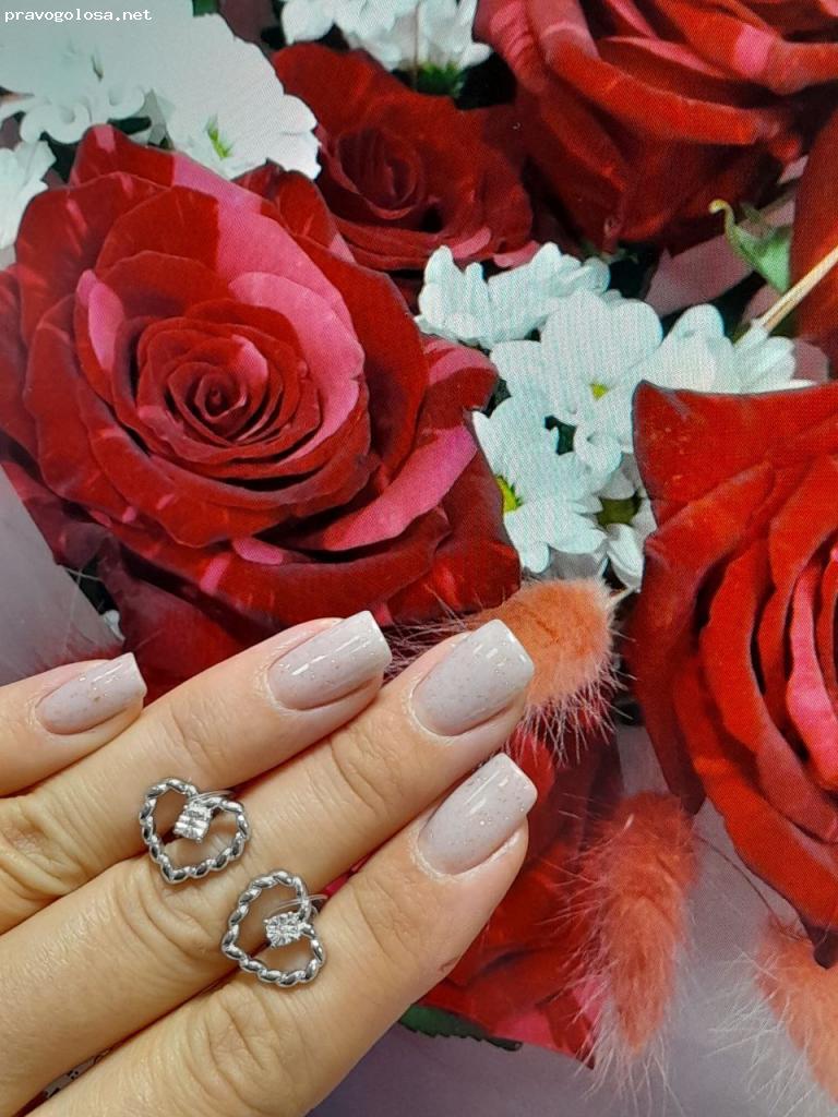 Отзыв на Novikov24.ru