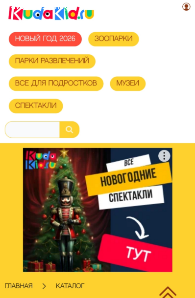 Отзыв на Сайт Kudakid.ru