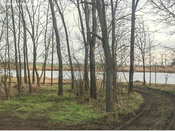 Отзыв на Агентство недвижимости Гауди риелт