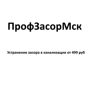 Отзыв на ПрофЗасорМск