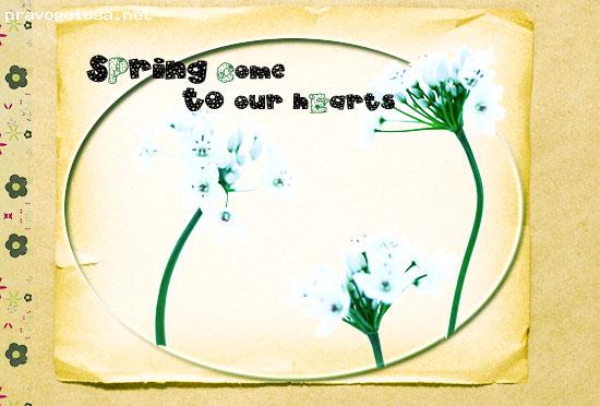 Отзыв на Sinoway Opt Сургут