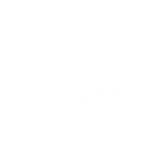 Нижегородский государственный технический университет им. Р.Е. Алексеева отзывы