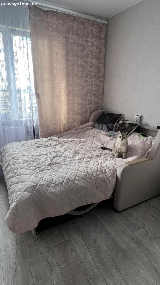 Отзыв на NeSaDen