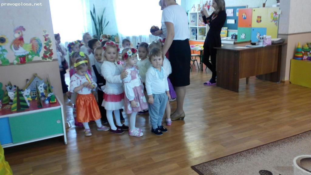 Отзыв на ДНЗ