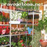 Отзыв на Цветочный магазин «Зелёный мир»