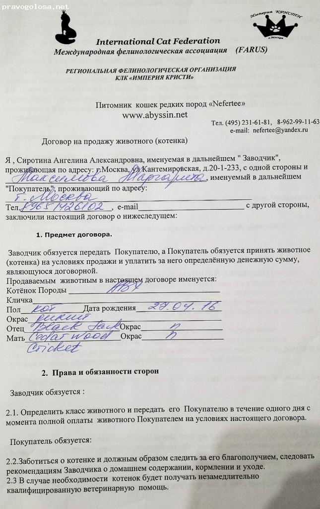 Отзыв на Питомник кошек Нефертити