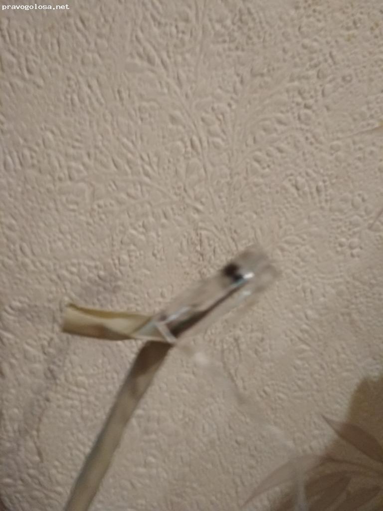 Отзыв на ООО "РАББИТ"