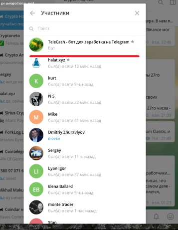 Отзыв на Halat раскрутка телеграм