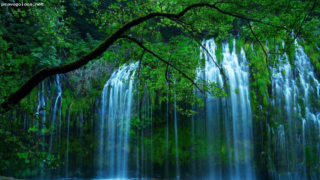 Отзыв на Образовательный центр DissHelp.ru