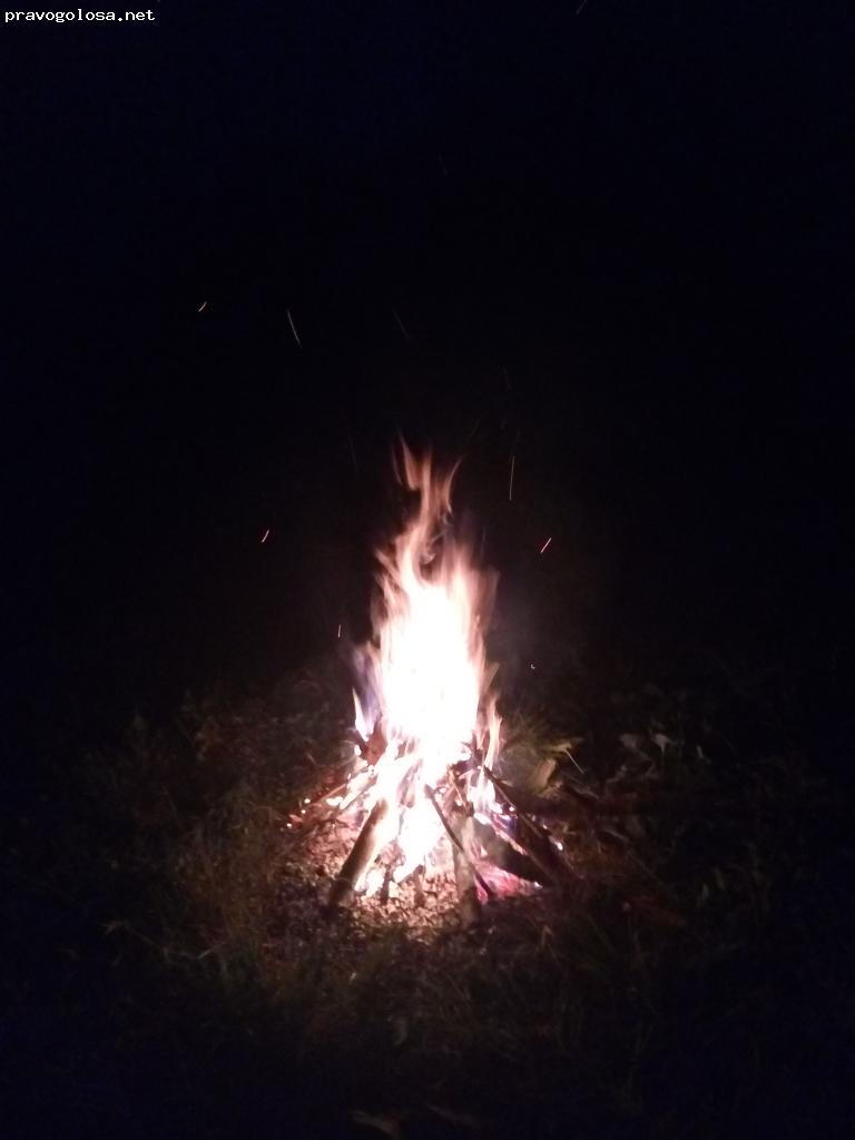 Отзыв на money@dengi495.ru ООО Данго частный инвестор