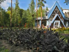 Санаторий "Сосновый бор"