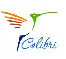 Агентство интернет продвижения COLIBRI