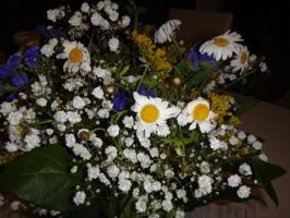 Флордель - доставка цветов