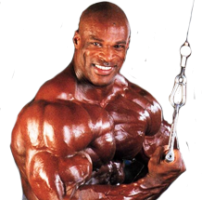 MEGA-MASS магазин спортивного питания MEGA-MASS магазин спортивного питания